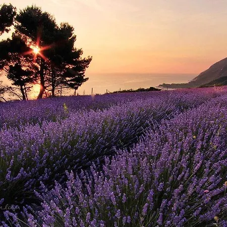 A Casa Di Claudia * Loreto