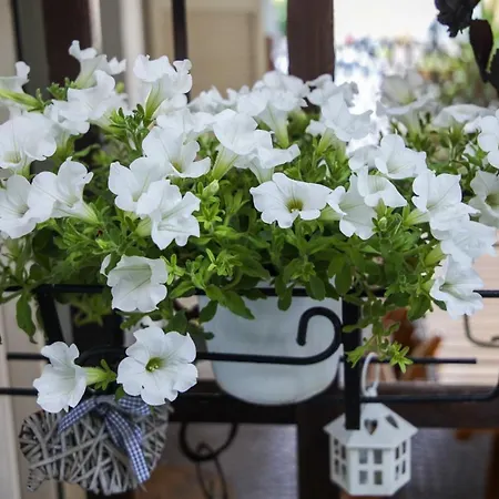 דירה A Casa Di Claudia לורטו